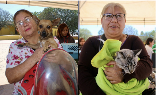 Invitan a jornada de esterilización gratuita para perros y gatos en Ramos Arizpe